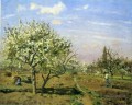 verger en fleur louveciennes 1872 Camille Pissarro paysage